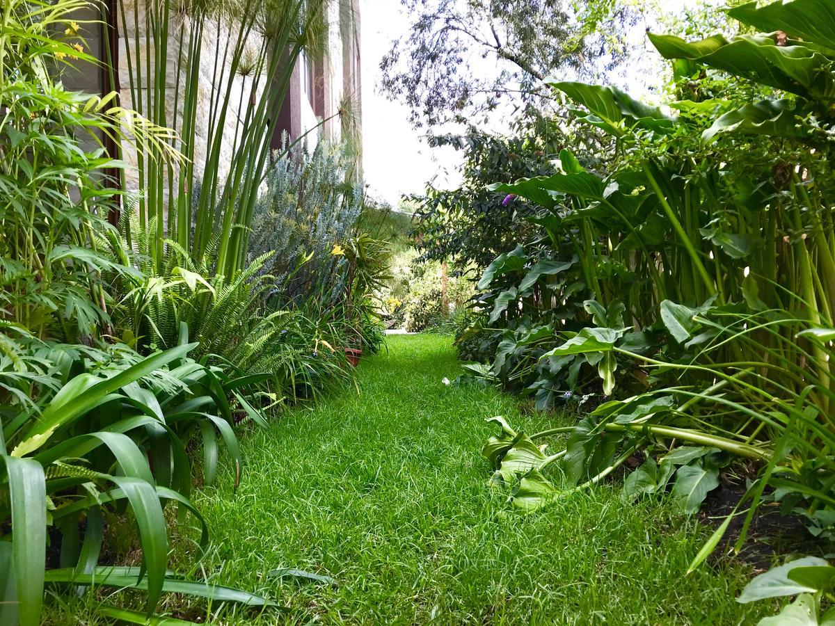 קיטו Ilalo Garden Hotel & Restaurant מראה חיצוני תמונה