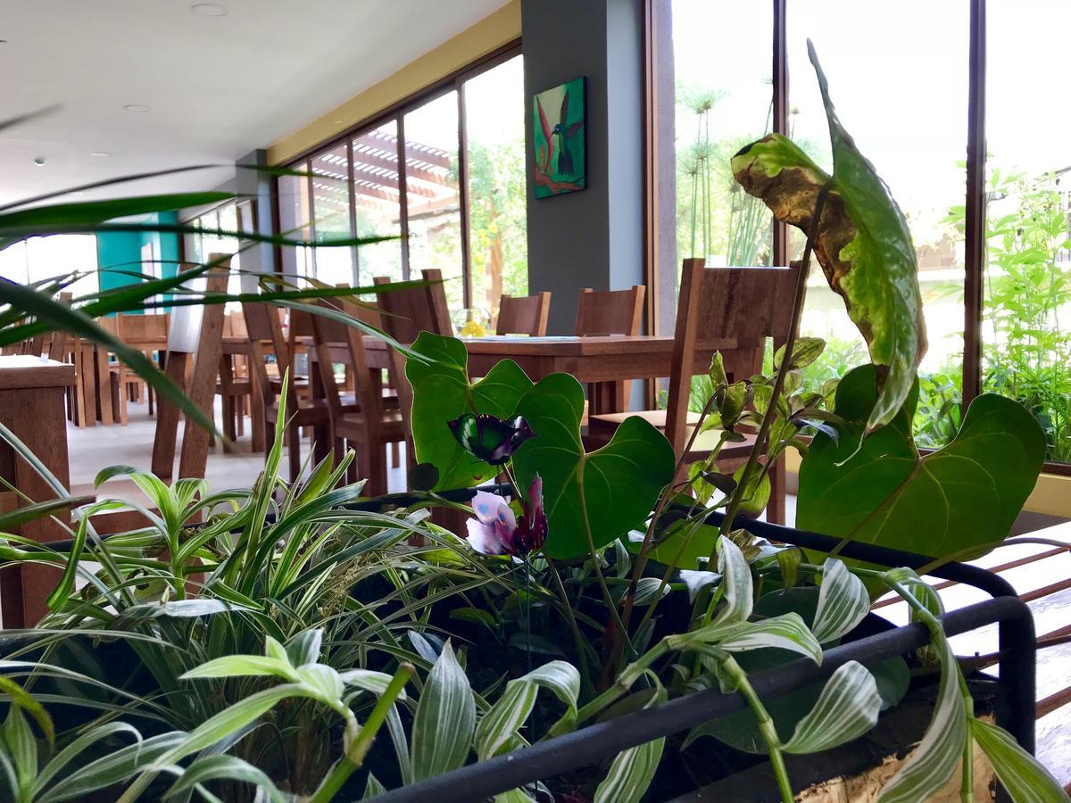 קיטו Ilalo Garden Hotel & Restaurant מראה חיצוני תמונה