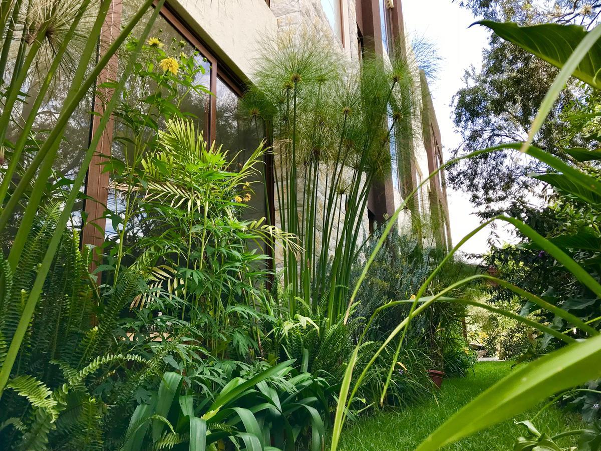 קיטו Ilalo Garden Hotel & Restaurant מראה חיצוני תמונה